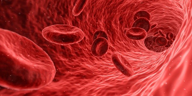 quand-aller-voir-hematologue